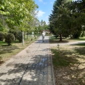 Дезинфекция срещу COVID-19